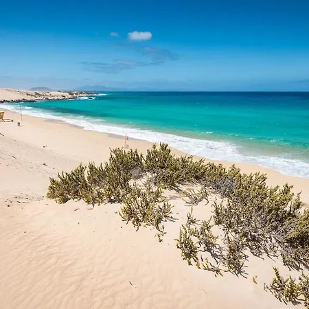 Home2book Hola Jag Center Lejlighed Corralejo