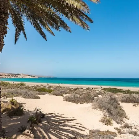 Home2book Hola Jag Center Lejlighed Corralejo